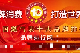 2017年度中國燃氣表十大品牌