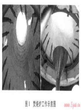 國產(chǎn)SGI-10型高含硫天然氣焚燒爐在普光D401-1井試氣中的應用