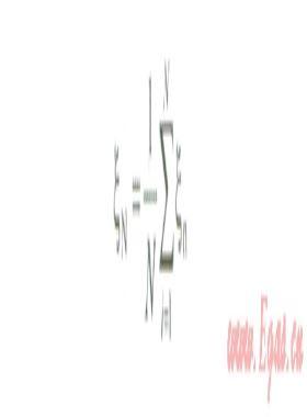 基于蒙特卡洛模擬的IT項(xiàng)目進(jìn)度風(fēng)險(xiǎn)量化評(píng)估方法研究