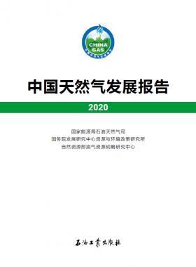 2020中國天然氣發(fā)展報告（含2017、2018、2019、2020）